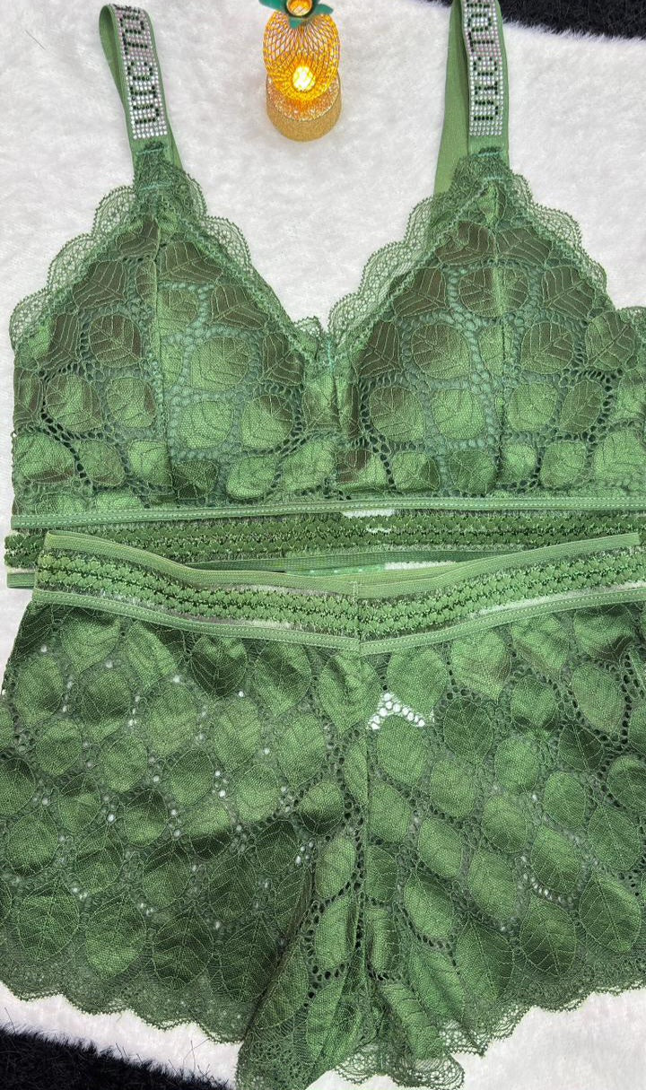 Luxury Net Lace Bra Set