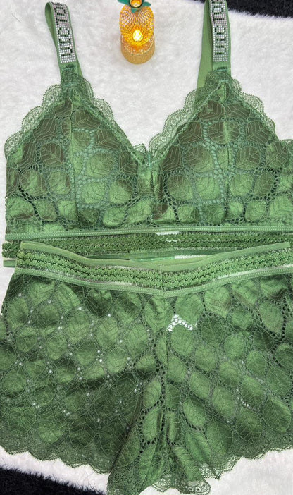 Luxury Net Lace Bra Set
